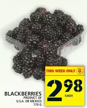 Food Basics Blackberries offer