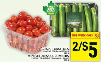 Food Basics Grape Tomatoes | Mini Seedless Cucumbers offer