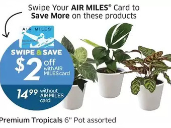 Foodland Premium Tropicals offer