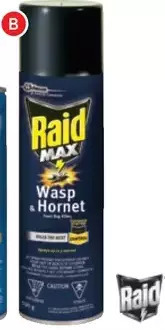 RONA Raid Wasp & Hornet Insecticide Foam offer
