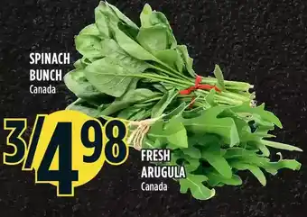 Marché Adonis Spinach Bunch | Fresh Arugula offer