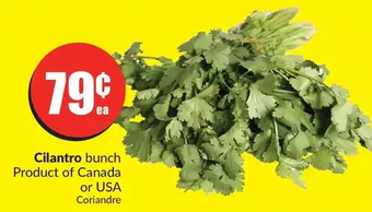 FreshCo Cilantro offer