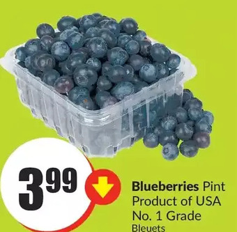 FreshCo Blueberries offer