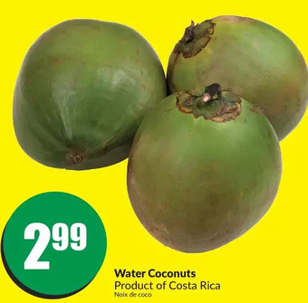 FreshCo Water Coconuts offer