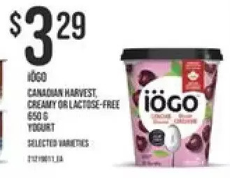 Independent Grocer Iogo Canadian Harvest Creamy or Lactose Free offer