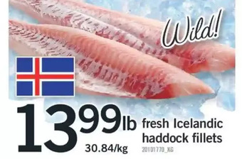 Fortinos Fresh Icelandic Haddock Fillets offer