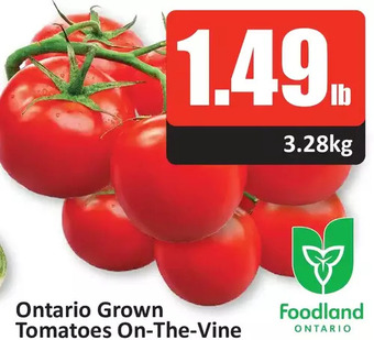 Starsky Ontario Grown Tomatoes On-the-Vine offer