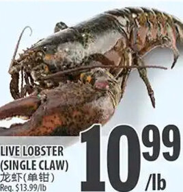 Al Premium Food Mart Live Lobster (Single Claw) offer