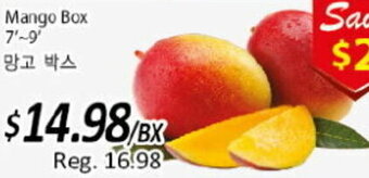 Galleria Supermarket Mango Box 7'-9' offer