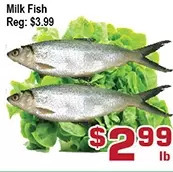 Top Food Supermarket Milk Fish offer