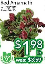 Ample Food Market Red Amarnath offer