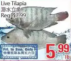 Hong Tai Supermarket Live Tilapia offer
