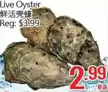 Hong Tai Supermarket Live Oyster offer