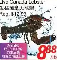 Foody World Live Canada Lobster offer