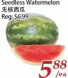 Tone Tai Supermarket Seedless Watermelon offer