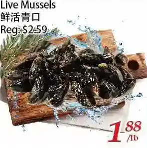 Tone Tai Supermarket Live Mussels offer