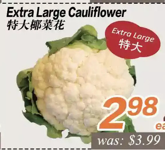 Seasons Foodmart Extra Large Cauliflower offer