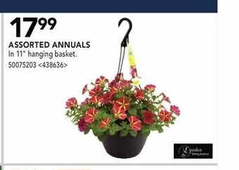 RONA Assorted Annuals offer