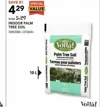 RONA Indoor palm tree soil offer