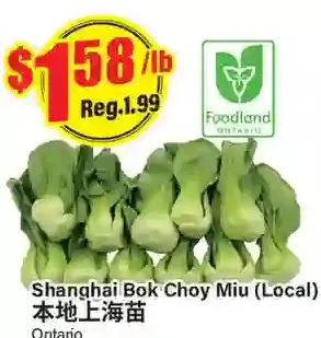 Btrust Supermarket Shanghai Bok Choy Miu offer