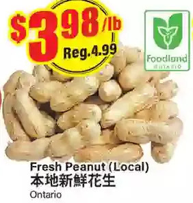 Btrust Supermarket Fresh Peanut offer