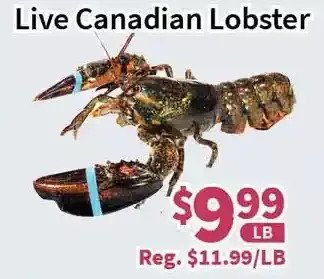 Blue Sky Supermarket Live Canadian Lobster offer