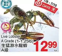 T&T Supermarket Live Lobster a Grade offer
