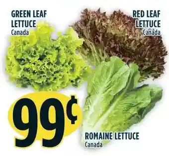 Marché Adonis Green Leaf Lettuce | Red Leaf Lettuce | Romaine Lettuce offer