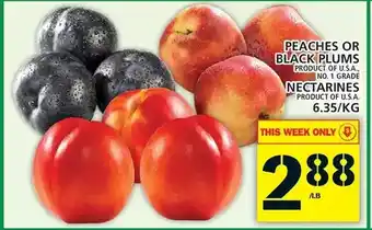 Food Basics Peaches or Black Plums | Nectarines offer