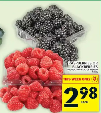 Food Basics Raspberries or Blackberries offer