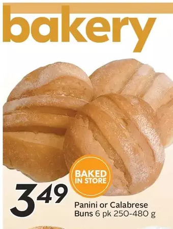 Sobeys Panini or Calabrese Buns offer