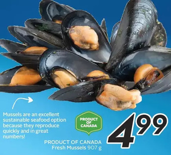 Sobeys Fresh Mussels offer
