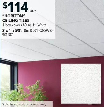 RONA "Horizon" Ceiling Tiles offer