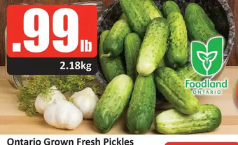 Starsky Ontario Grown Fresh Pickles offer