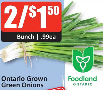 Starsky Ontario Grown Green Onions offer