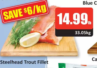 Starsky Steelhead Trout Fillet offer