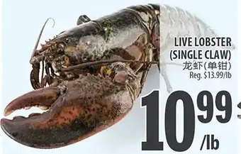Al Premium Food Mart Live Lobster offer