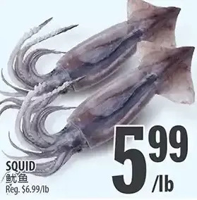 Al Premium Food Mart Squid offer