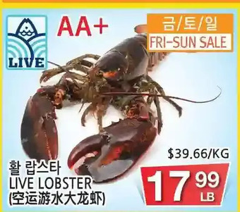 H-Mart Live Lobster offer