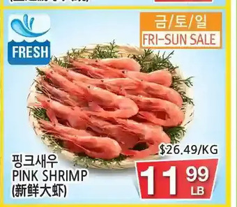 Pink Shrimp