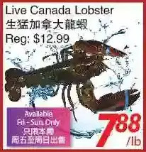 Foody World Live Canada Lobster offer