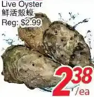 Foody World Live Oyster offer