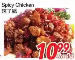 Foody World Spicy Chicken offer