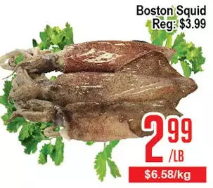 Skyland Foodmart Boston Squid offer