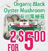 Organic Black Oyster Mushroom