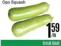 Nations Fresh Foods Opo Squash offer
