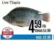 Nations Fresh Foods Live Tilapia offer