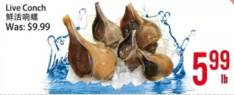 Bestco Food Mart Live Conch offer