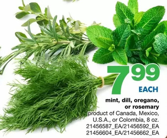 Wholesale Club Mint, Dill, Oregano, or Rosemary offer