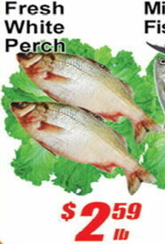 Jian Hing Supermarket Fresh White Perch offer